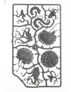 Ancient Brain 