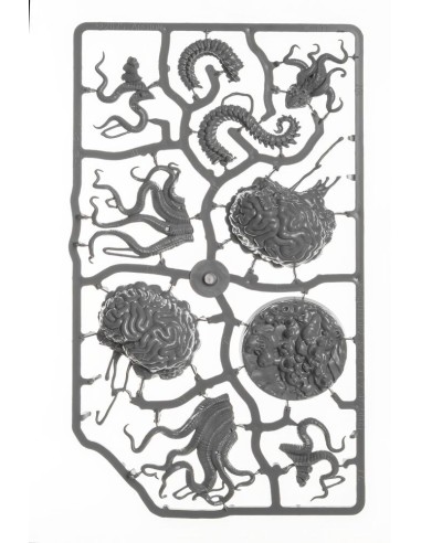 Ancient Brain 