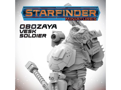 Masters of the Universe Miniatures: OBOZAYA VESK SOLDIER 