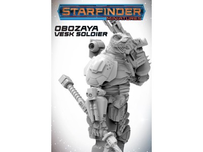 Masters of the Universe Miniatures: OBOZAYA VESK SOLDIER 