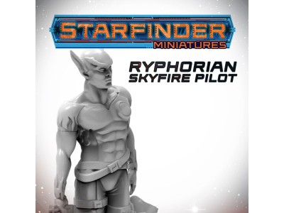 Masters of the Universe Miniatures: RYPHORIAN SKYFIRE PILOT 