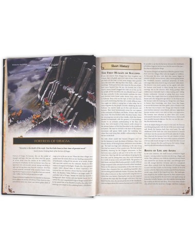 Dungeons & Lasers THE WORLD OF DEUSLAIR: RPG CAMPAIGN (hardcover) 