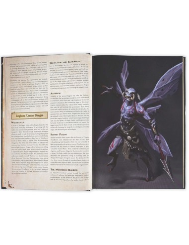 Dungeons & Lasers THE WORLD OF DEUSLAIR: RPG CAMPAIGN (hardcover) 