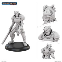 Masters of the Universe Miniatures: KNIGHT OF GOLARION  2