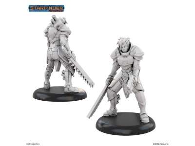 Masters of the Universe Miniatures: KNIGHT OF GOLARION 