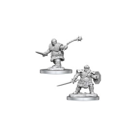 Dwarf Fighter - D&D Nolzur's Marvelous Miniatures