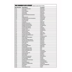 Decal Sheet - RNLI Shannon Class Lifeboat (A55015) 