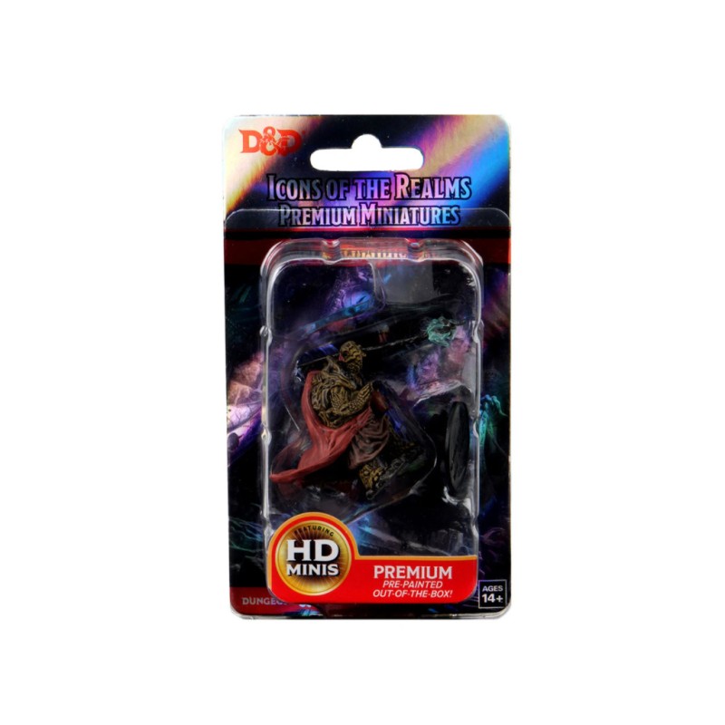 Male Tortle Monk (PACK OF 2) D&D Icons of the Realms Premium Figures (W3)