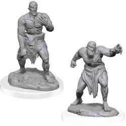 Flesh Golems (PACK OF 2): D&D Nolzur's Marvelous...