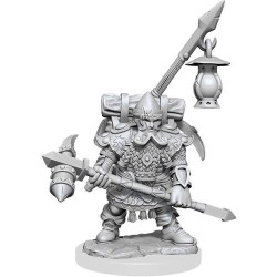 Dwarf Fighter Male: D&D Frameworks (W1)