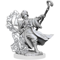 Human Wizard Male: D&D Frameworks (W1)