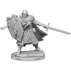 Human Fighter Male: D&D Frameworks (W1)