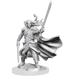 Elf Ranger Male: D&D Frameworks (W1)