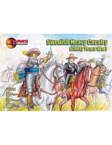 Swedish heavy cavalry 