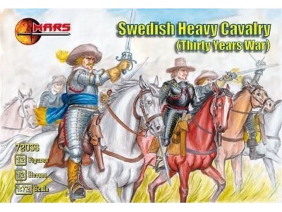 Swedish heavy cavalry 