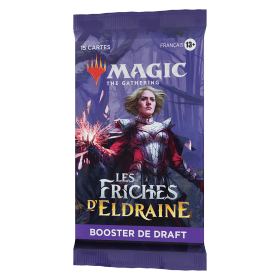 MTG : LES FRICHES D'ELDRAINE STARTER KIT EN (12)