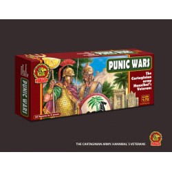 PUNIC WARS The Cartaginian army Hannibal"s Veterans 