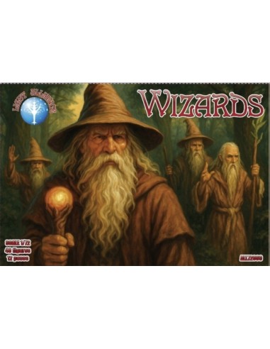 Wizards 