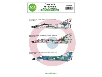 Mirage IIIE French Air Force part 5 