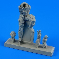 German Luftwaffe pilot WWII for Bf 109 l late version 
