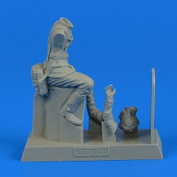 Russian WWII Pilot 
