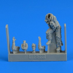 USAF Fighter Pilot on the ladder 