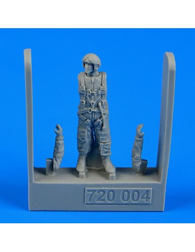 Soviet naval air force Pilot(AV-MF)1975- 