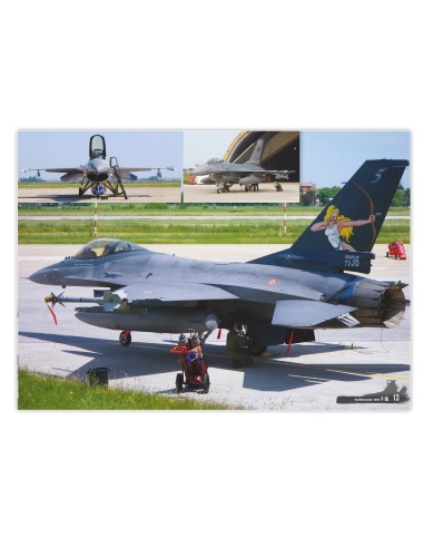 F-16 Fighting Falcon / VIPER - VISUAL MODELERS GUIDE (English, Castellano, Italiano) 