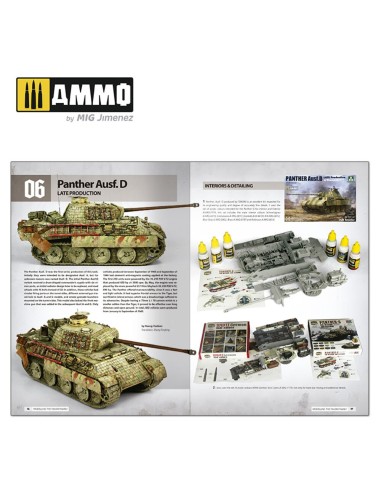 Panthers - Modeling the TAKOM Family (English) 