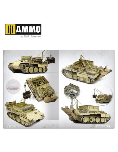 Panthers - Modeling the TAKOM Family (English) 