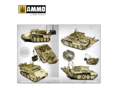 Panthers - Modeling the TAKOM Family (English) 