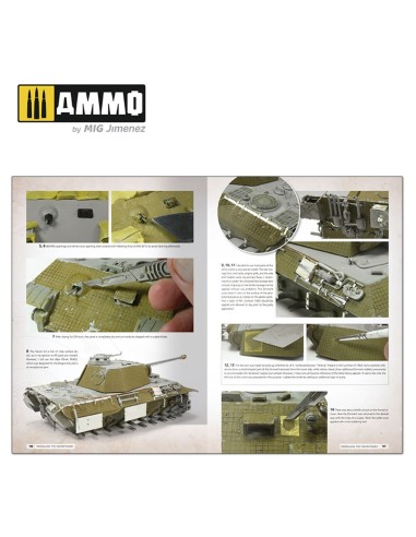 Panthers - Modeling the TAKOM Family (English) 