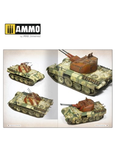 Panthers - Modeling the TAKOM Family (English) 
