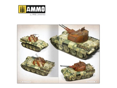Panthers - Modeling the TAKOM Family (English) 