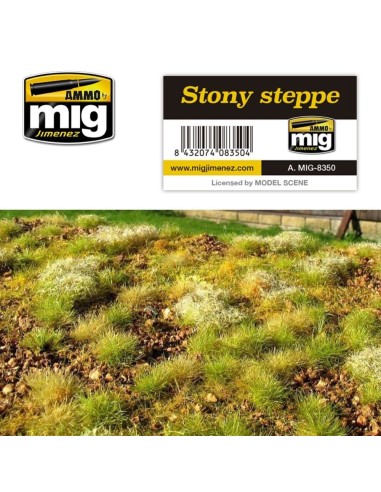 Stony Steppe 