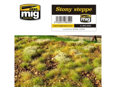 Stony Steppe 