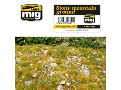Stony Mountain Ground 