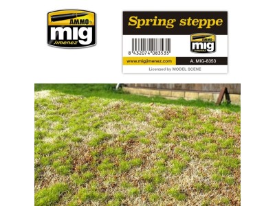 Spring Steppe 
