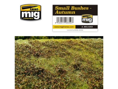 Small Bushes - Autumn 