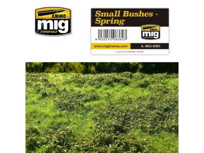 Small Bushes - Spring 
