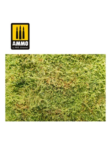 Wilderness Fields with Bushes - Spring 
