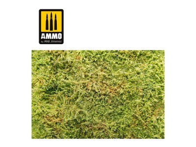Wilderness Fields with Bushes - Spring 
