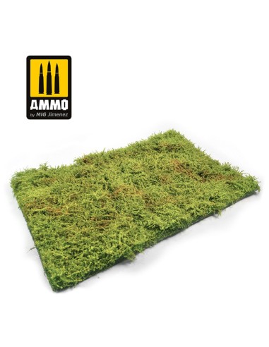 Wilderness Fields with Bushes - Spring 
