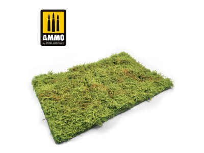 Wilderness Fields with Bushes - Spring 