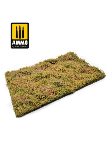 Wilderness Fields with Bushes - Late Summer 