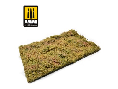Wilderness Fields with Bushes - Late Summer 
