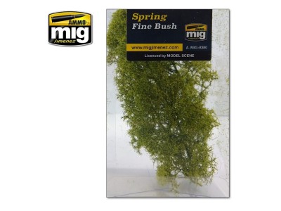 Fine Bush - Spring 