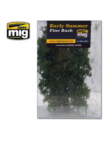 Fine Bush - Early Summer 