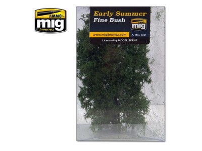 Fine Bush - Early Summer 