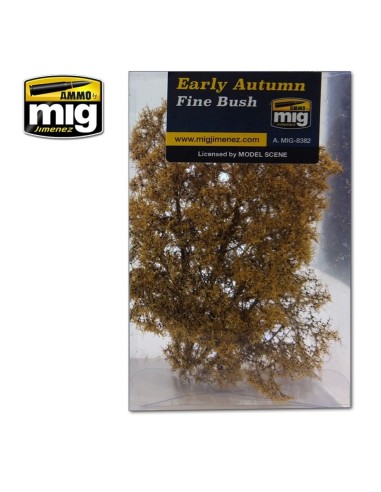 Fine Bush - Early Autumn 